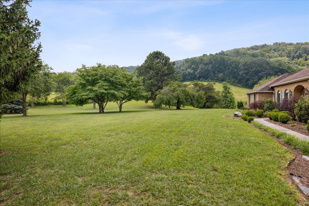 377 Thomas Loop Road