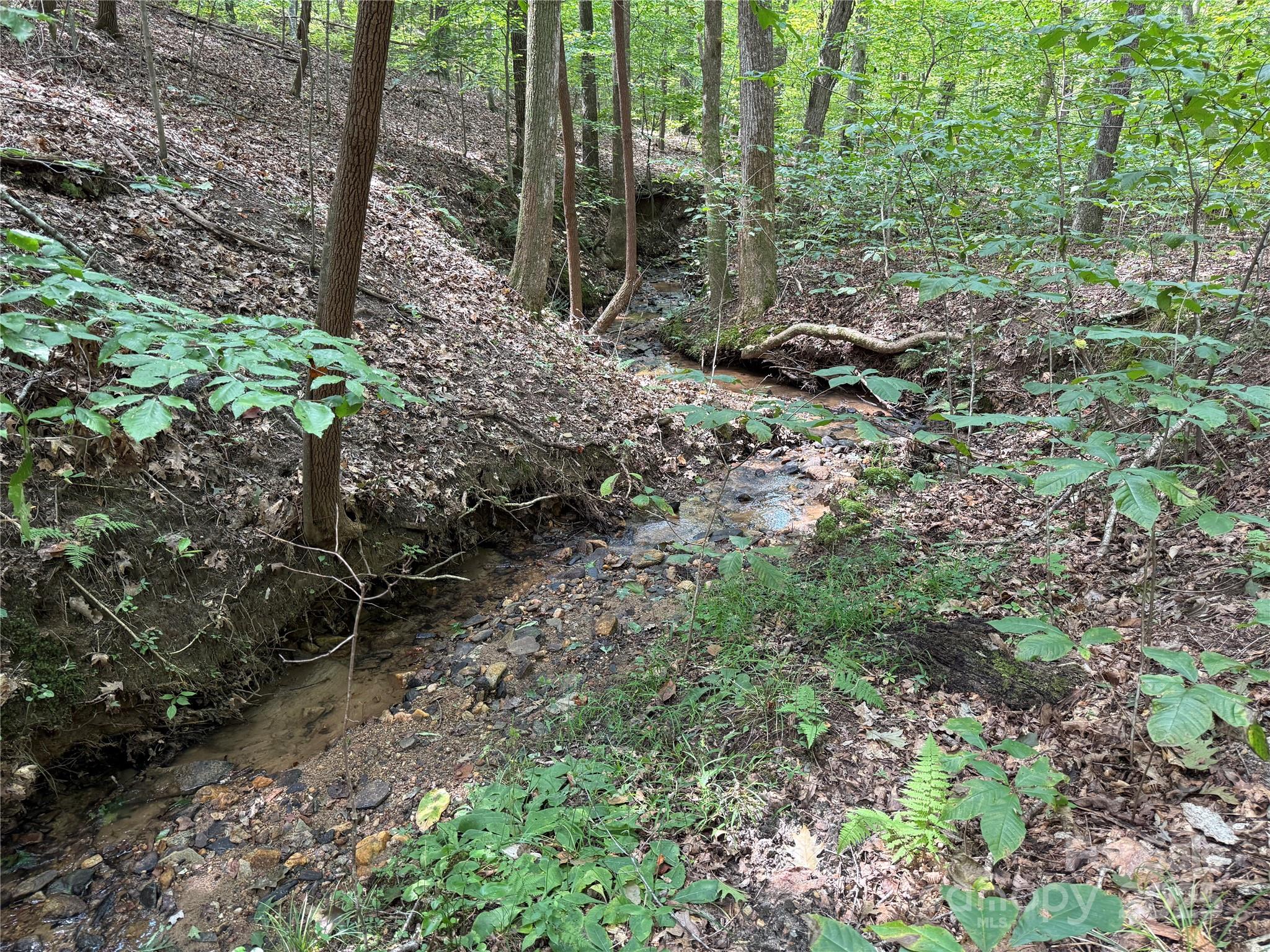 0 Mountain Brook Trail 298