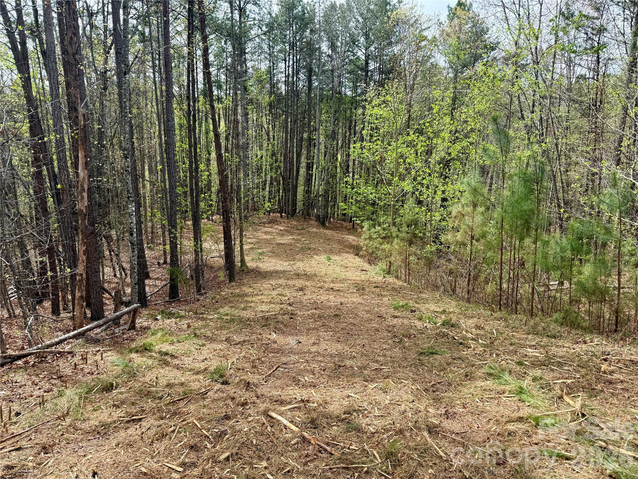 Lot 488 Bella Vista Way 488