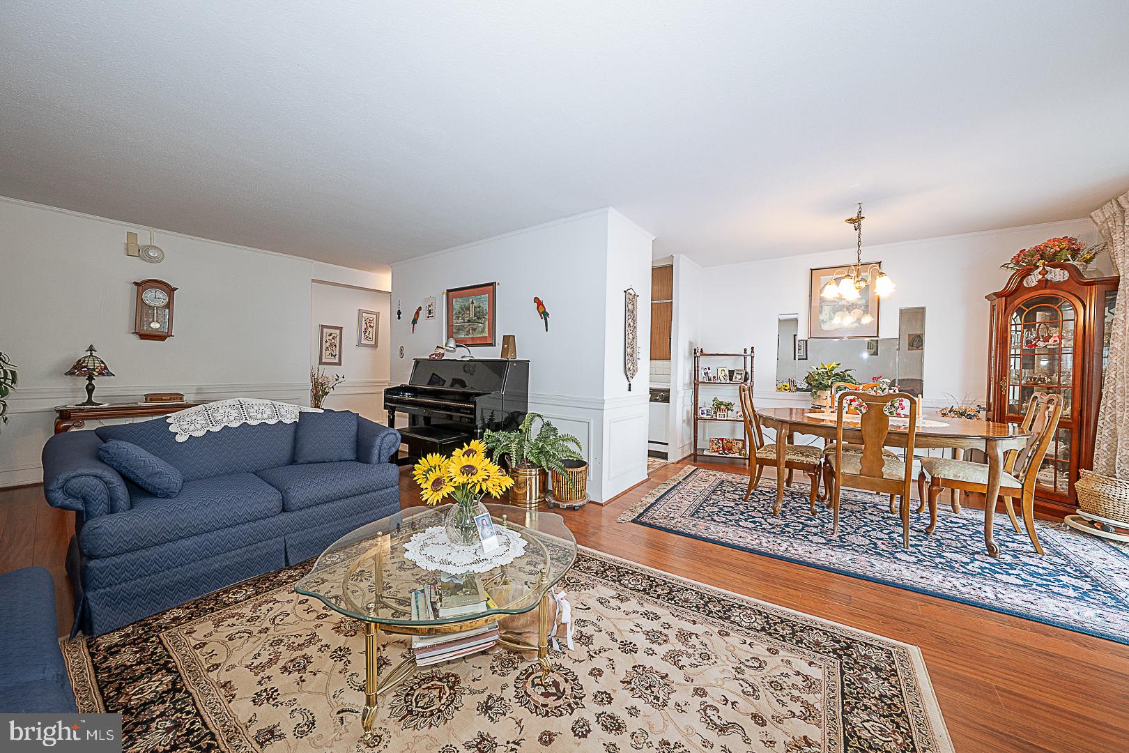 1919 Chestnut Street 1618