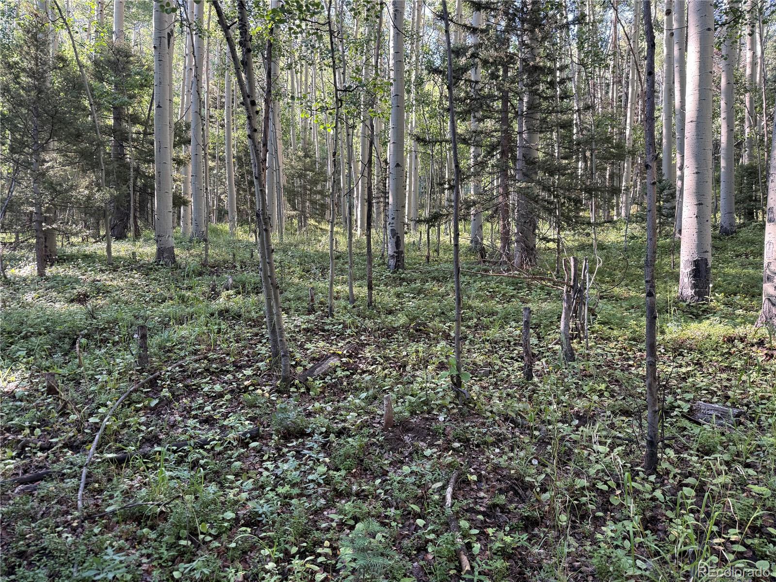 Lot 5331 Hull Road