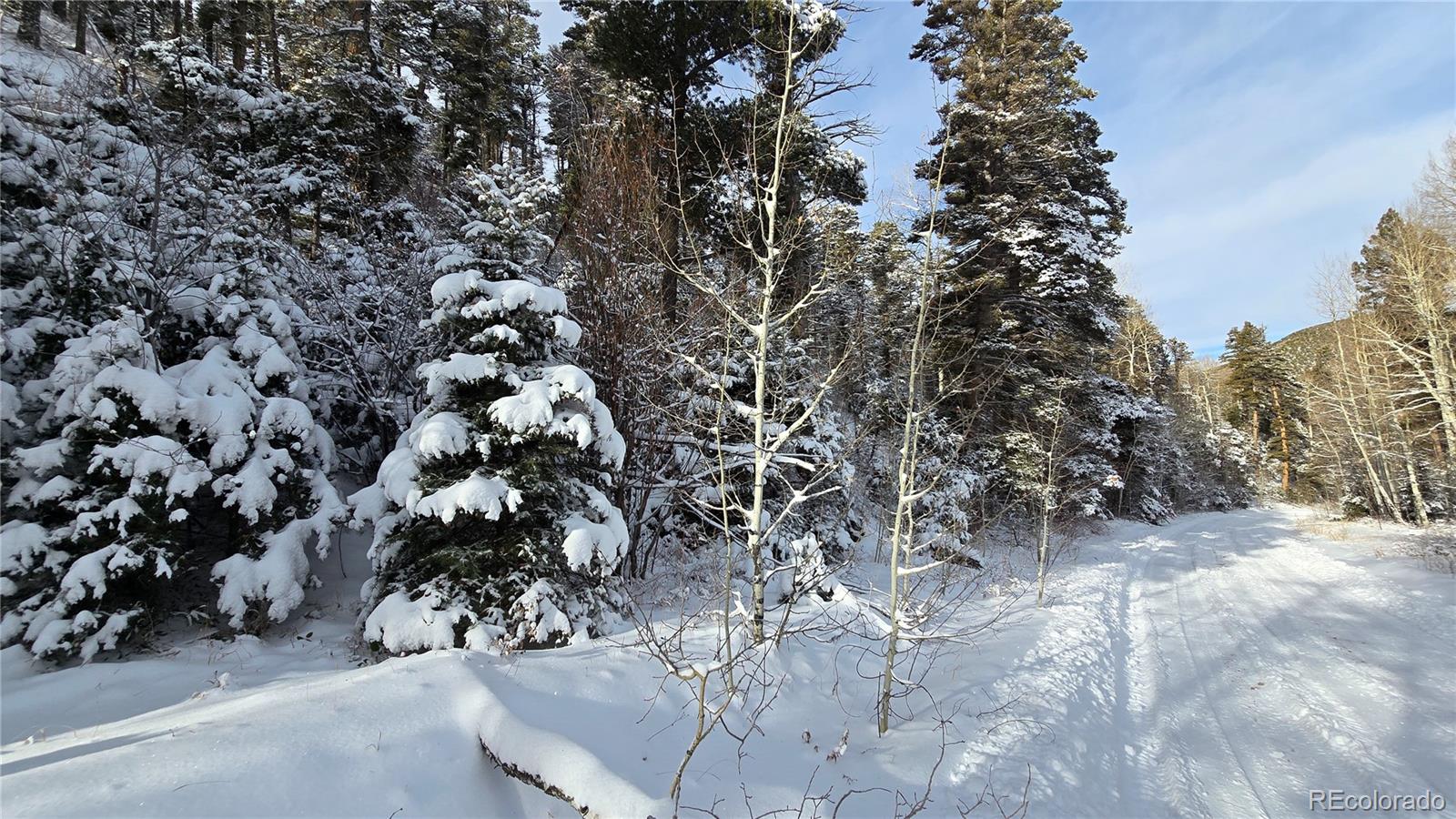 Lot 5540 Joy Road