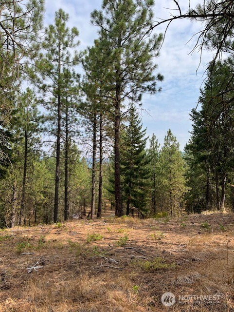 Build your dream home in Tumble Creek