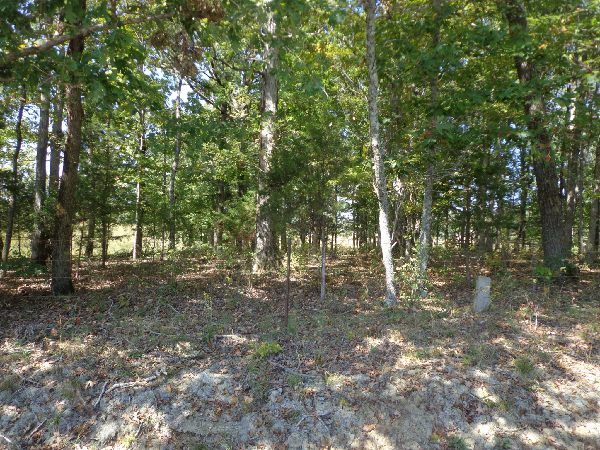 1551 Tennessee Ridge Road