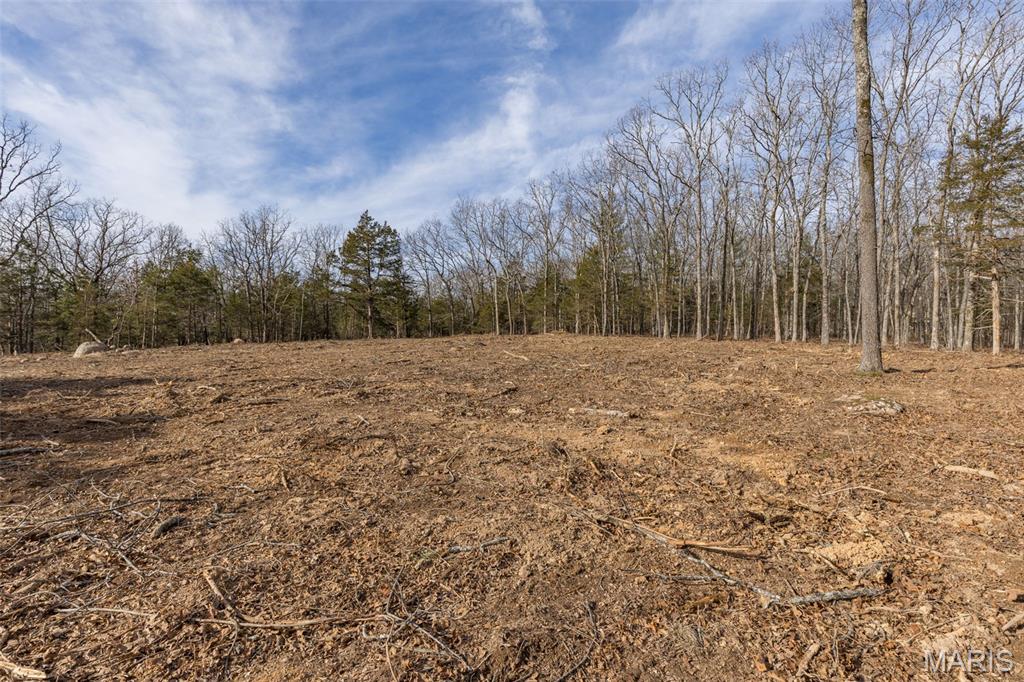 12.5+/- Acres On Effin Road