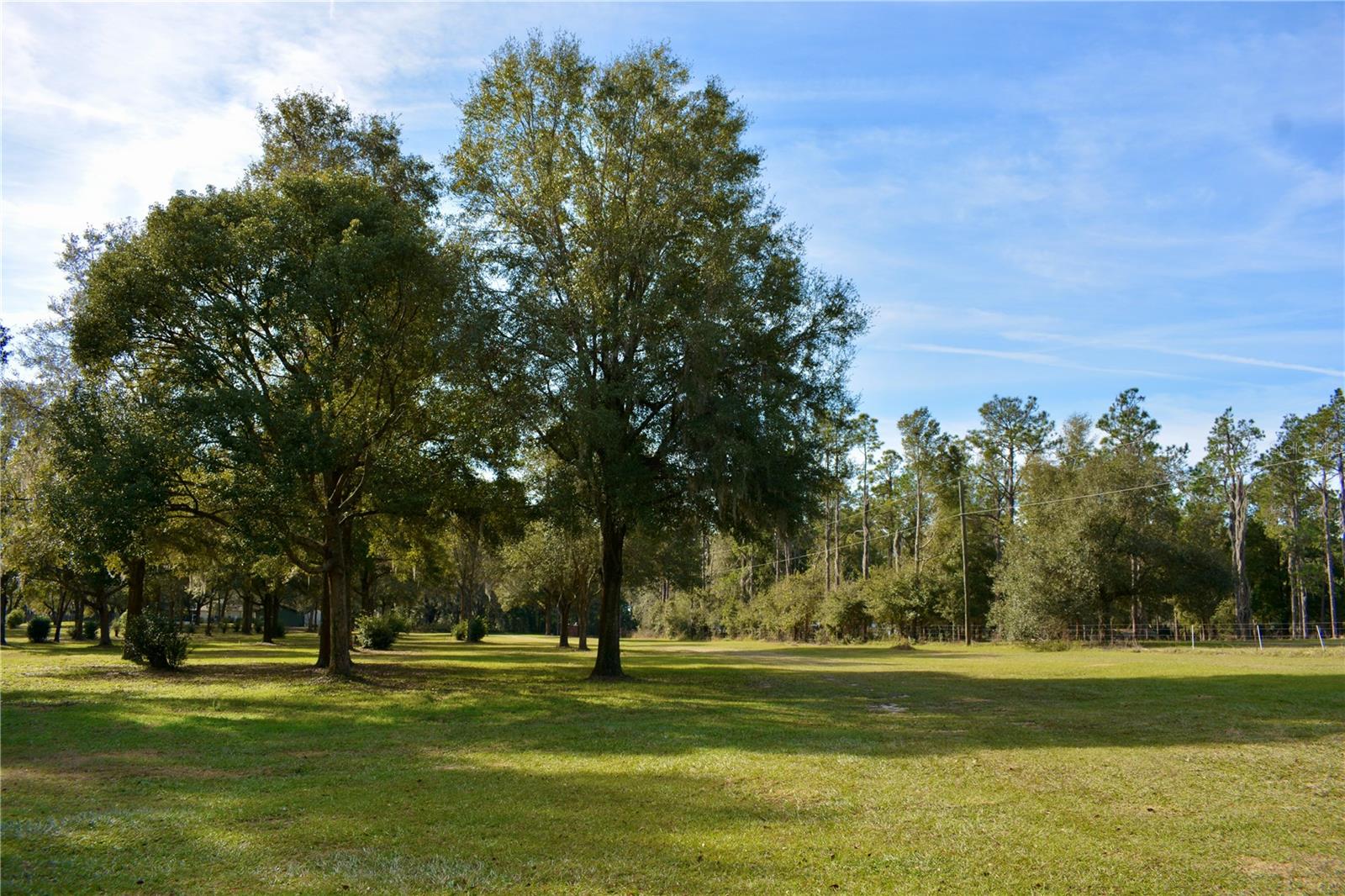 31501 Reed Road