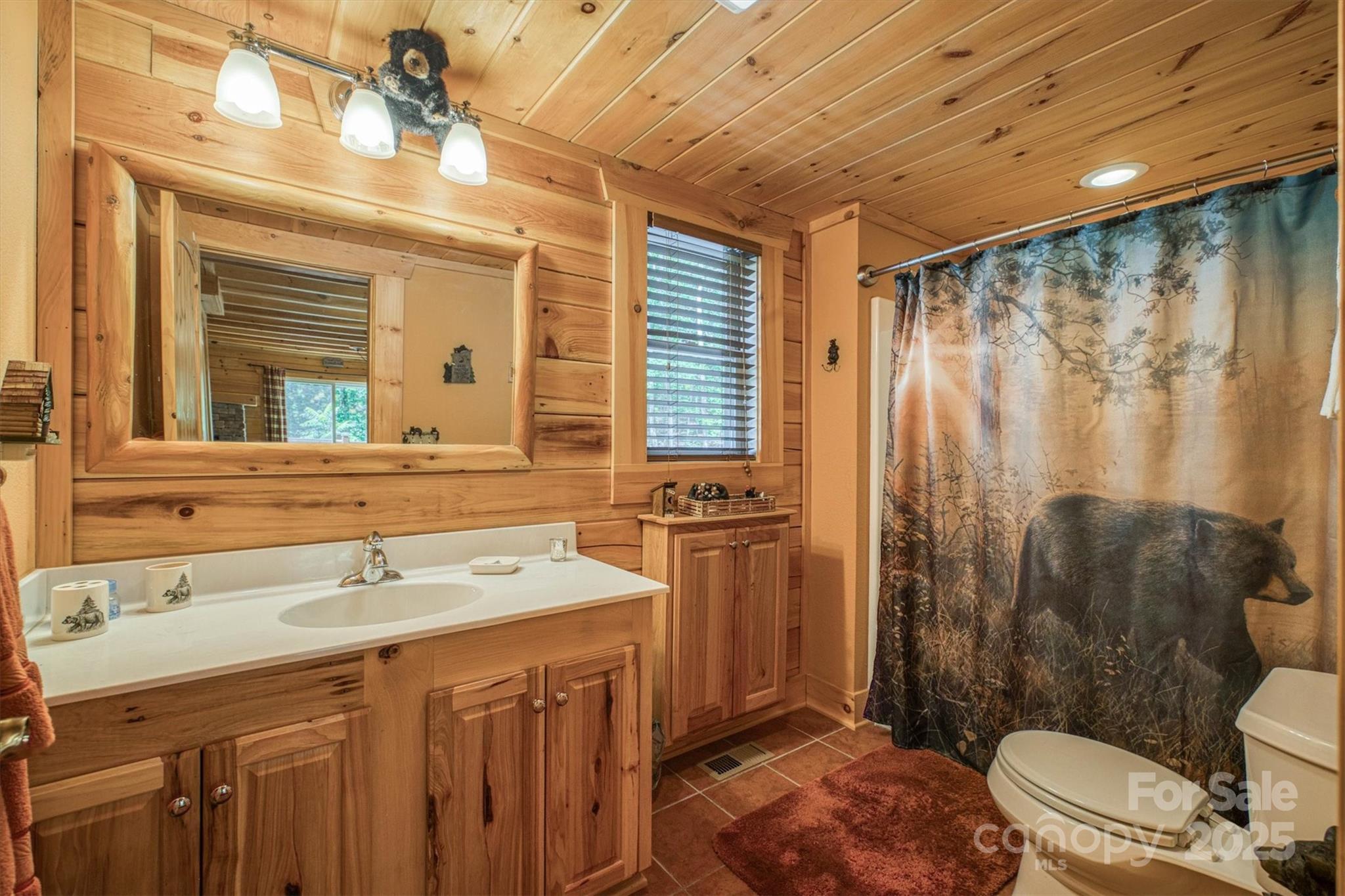 203 Mountain Vista Drive