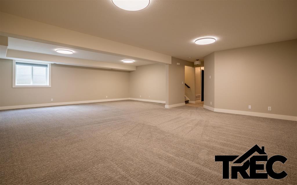 642 Cedarwood