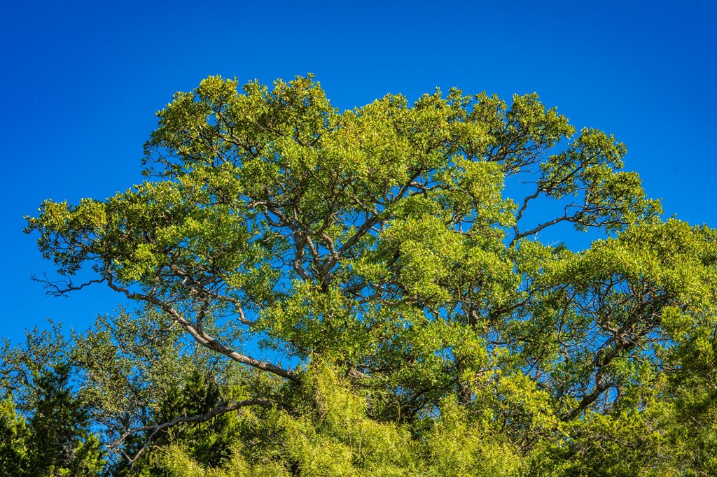 29 NE Big Draw Drive