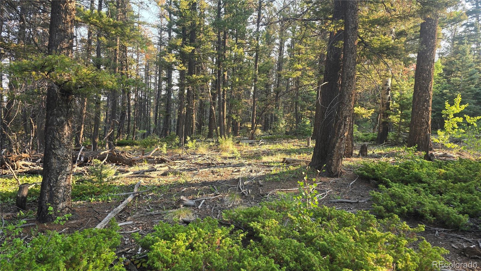 Lot 5768 Clawson Road