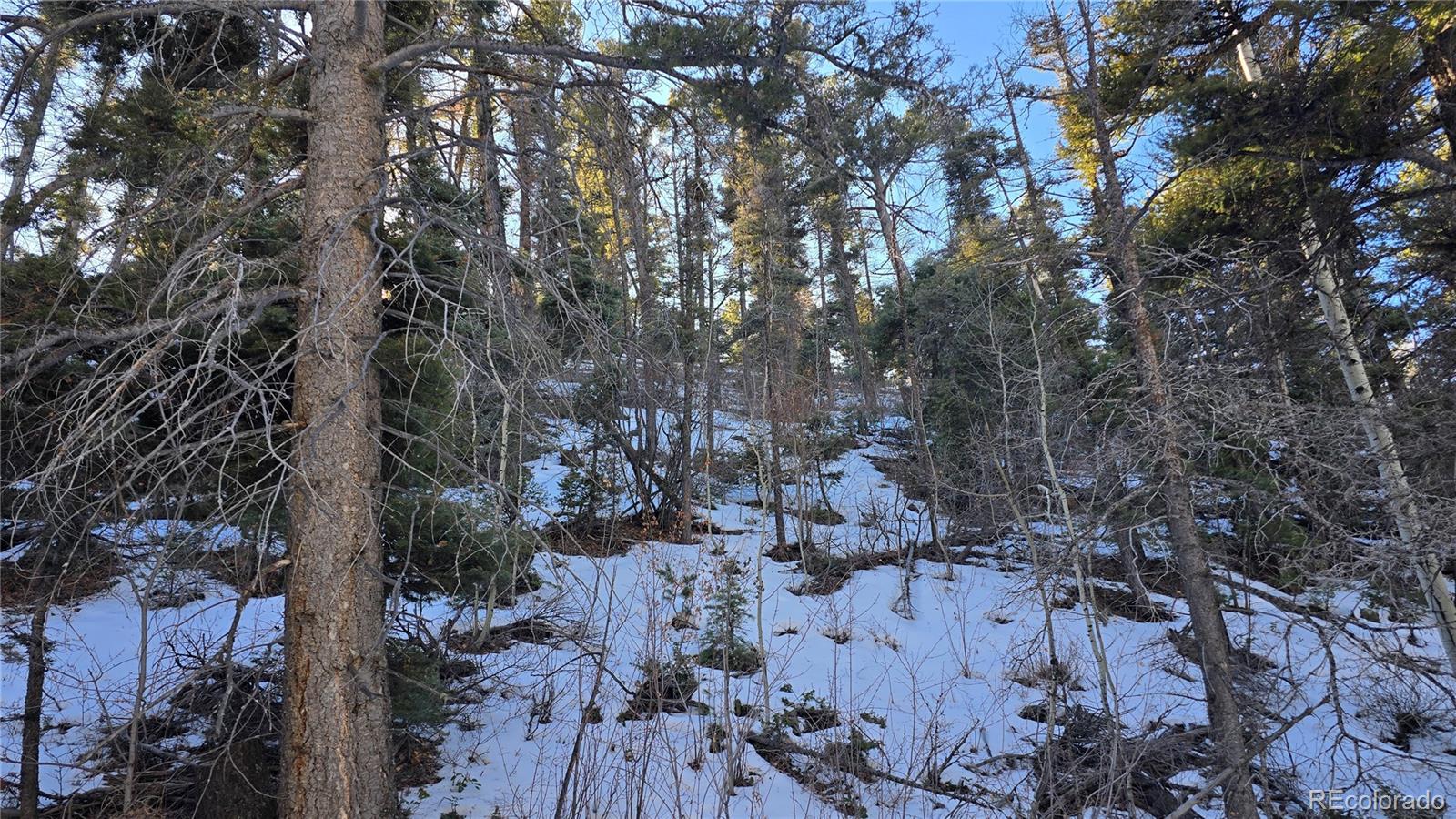 Lot 5540 Joy Road