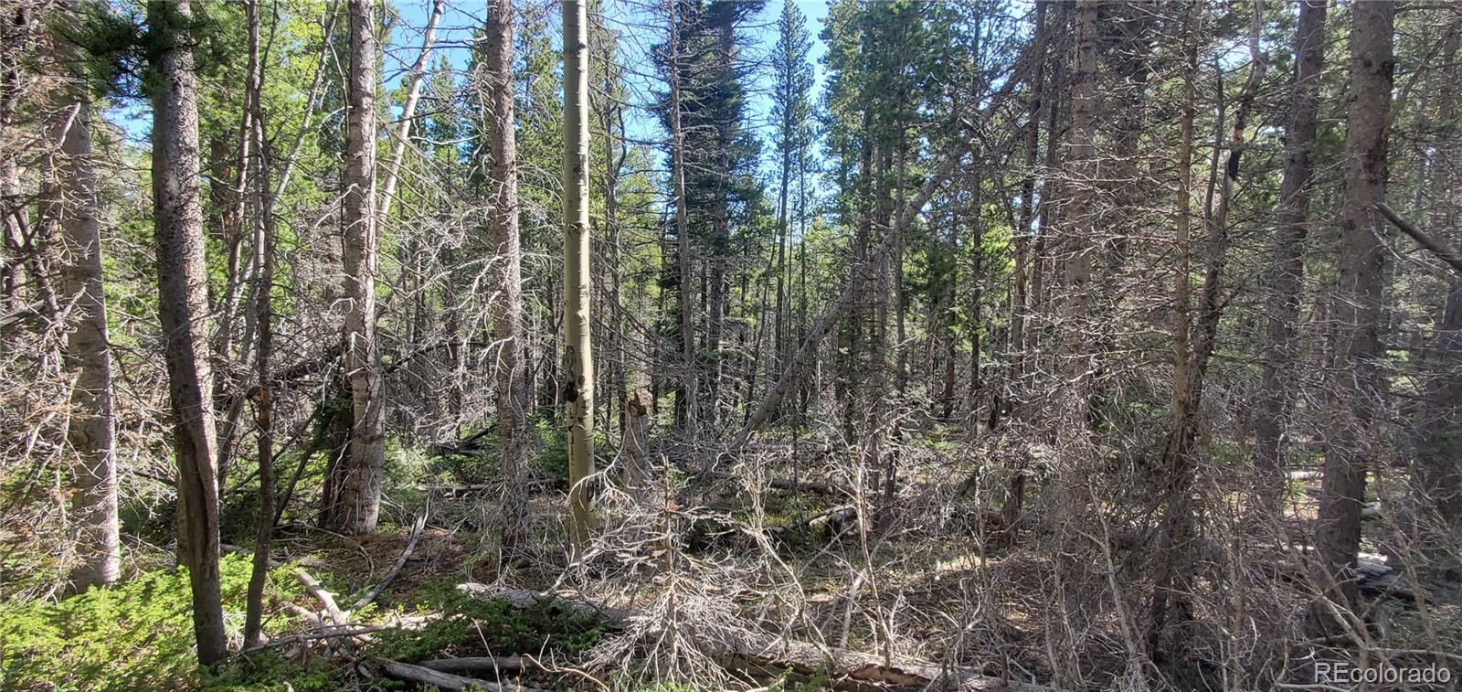 Lot 3031 Bolwell Lane