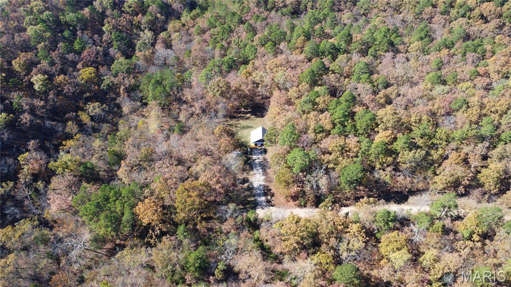 10256 Christina Trail