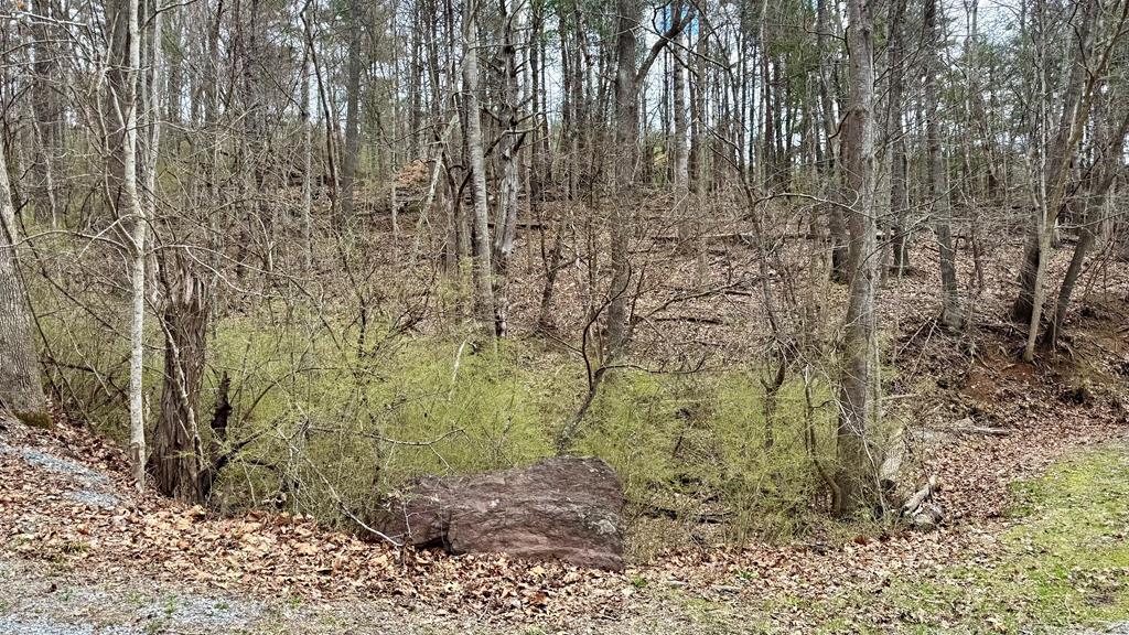 Come build you dream home on this wooded acreage just five minutes from town. This perked site is just around the corner from the new Truss Bridge Park on Reed Creek. Take advantage of the convenience and privacy of this over sized lot (includes two parcels). Lot has been perked. The privacy and convenience cannot be beat. Build your dream house in the woods but be back in town in five minutes!