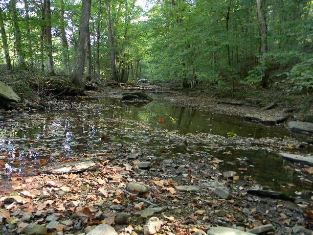 0 Traylor Branch Road