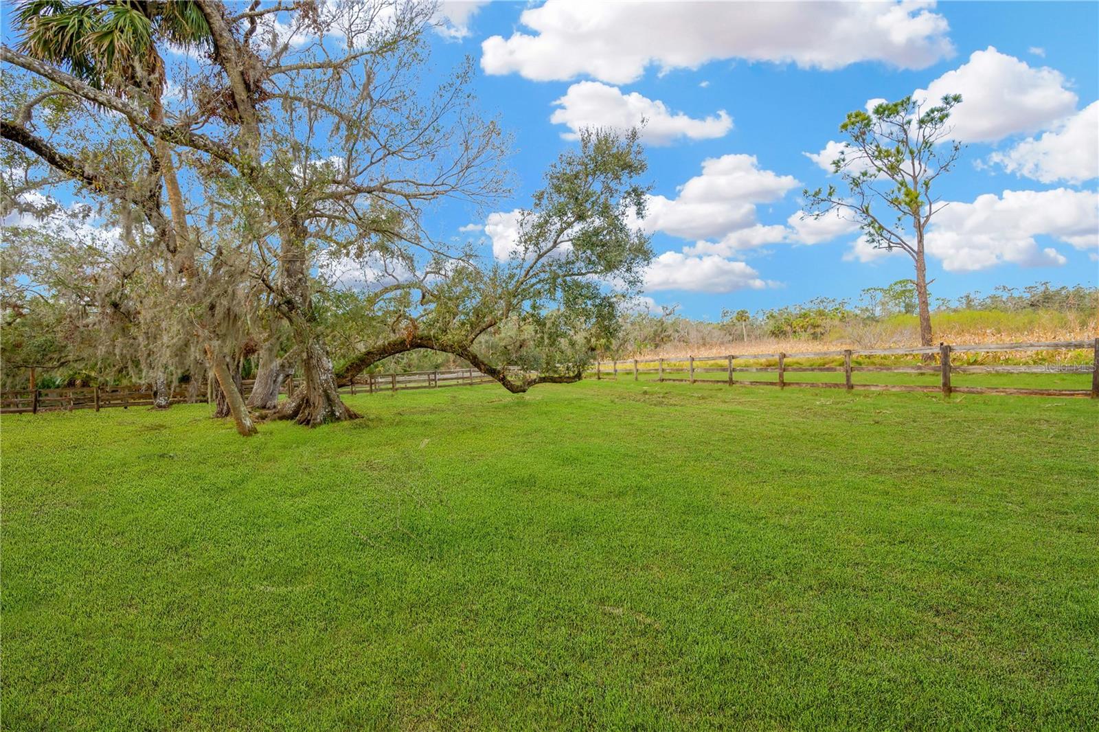 1103 Wild Citrus Lane