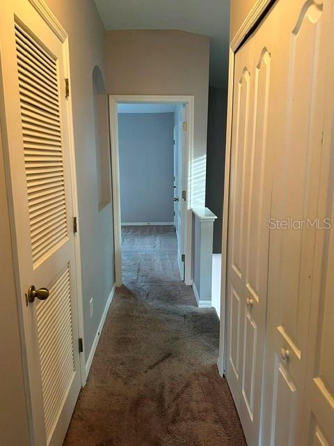 15723 Fishhawk Falls Drive