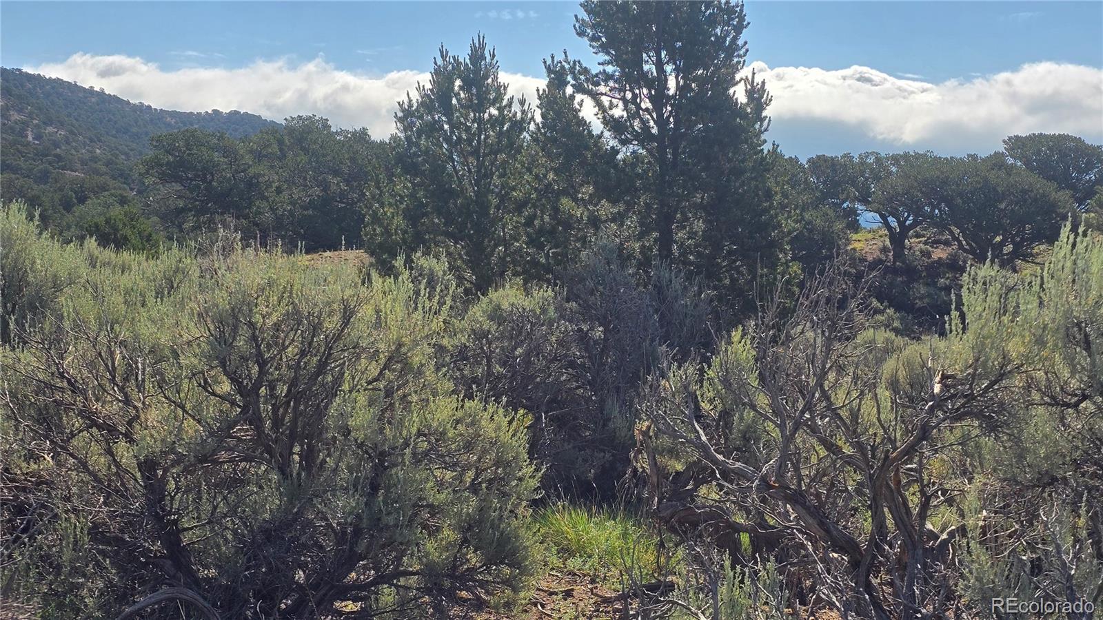 Lot 4296 Renfield Road