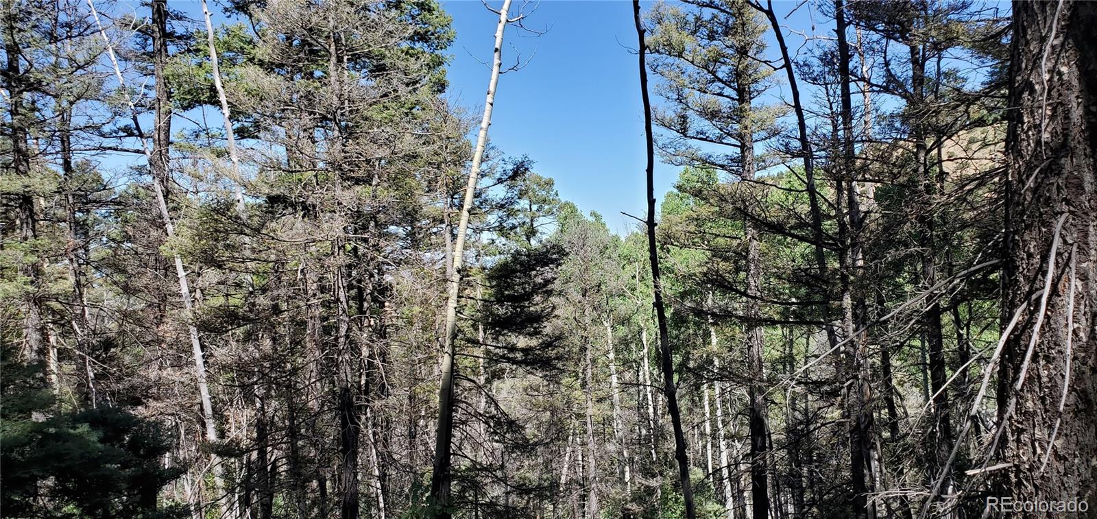 Lot 5610 Dawson Road