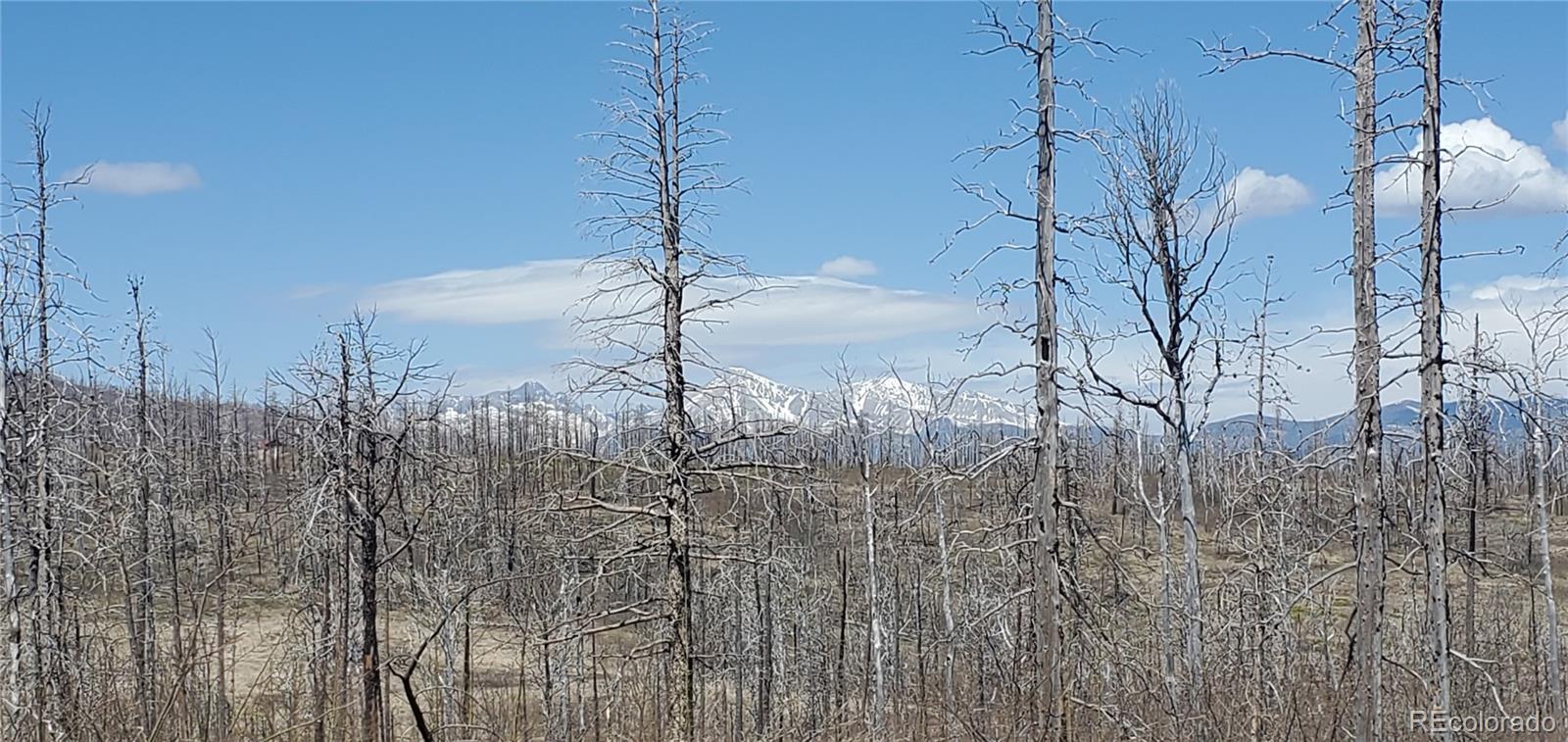 Lot 1667 Towey Place