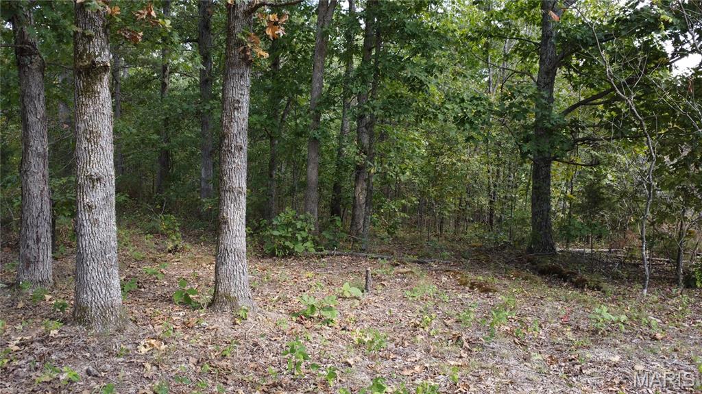 10255 Squaw Creek Rd