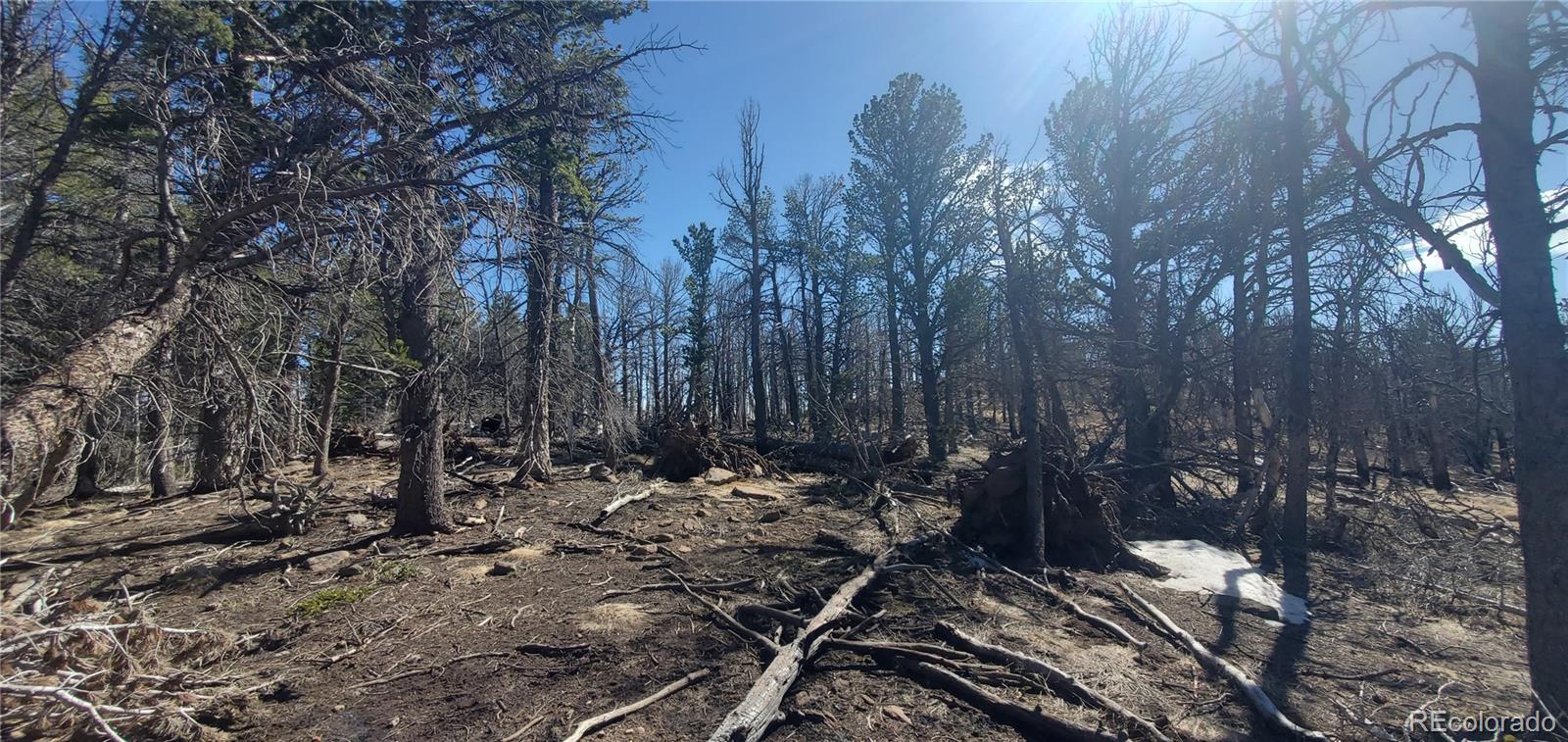 Lot 2739 Newman Place