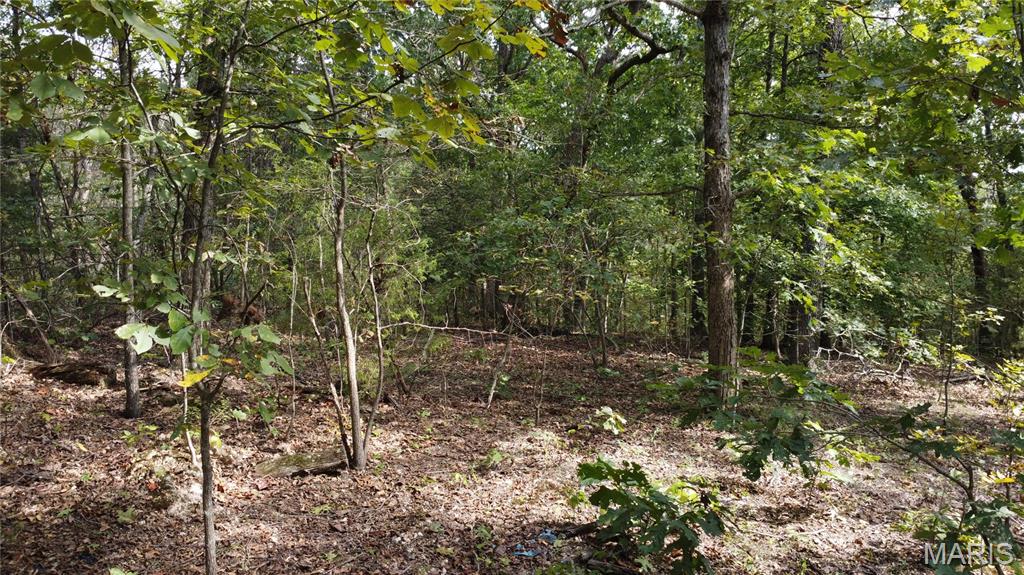 10255 Squaw Creek Rd