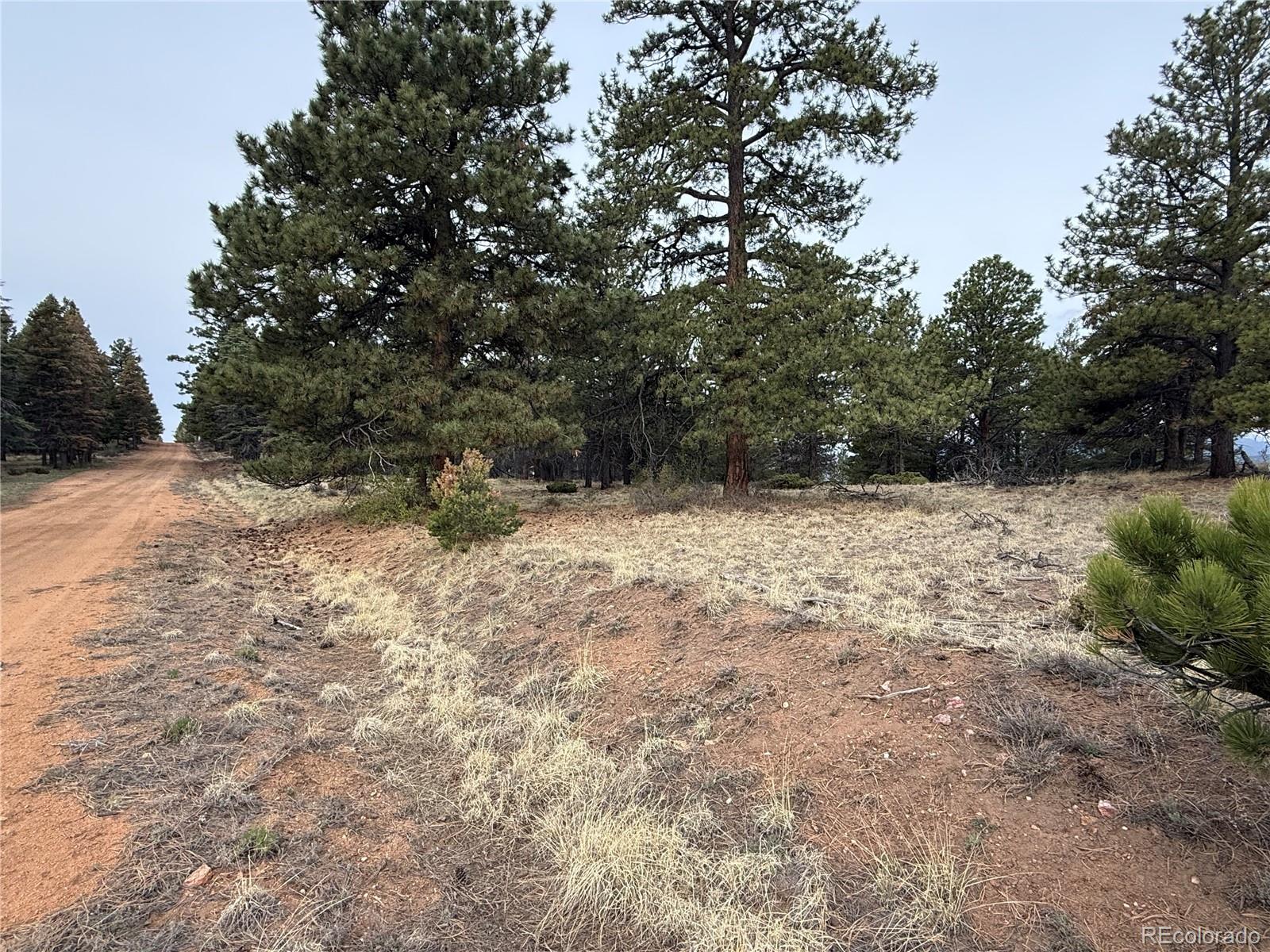 Lot 152 Tahmoush Lane