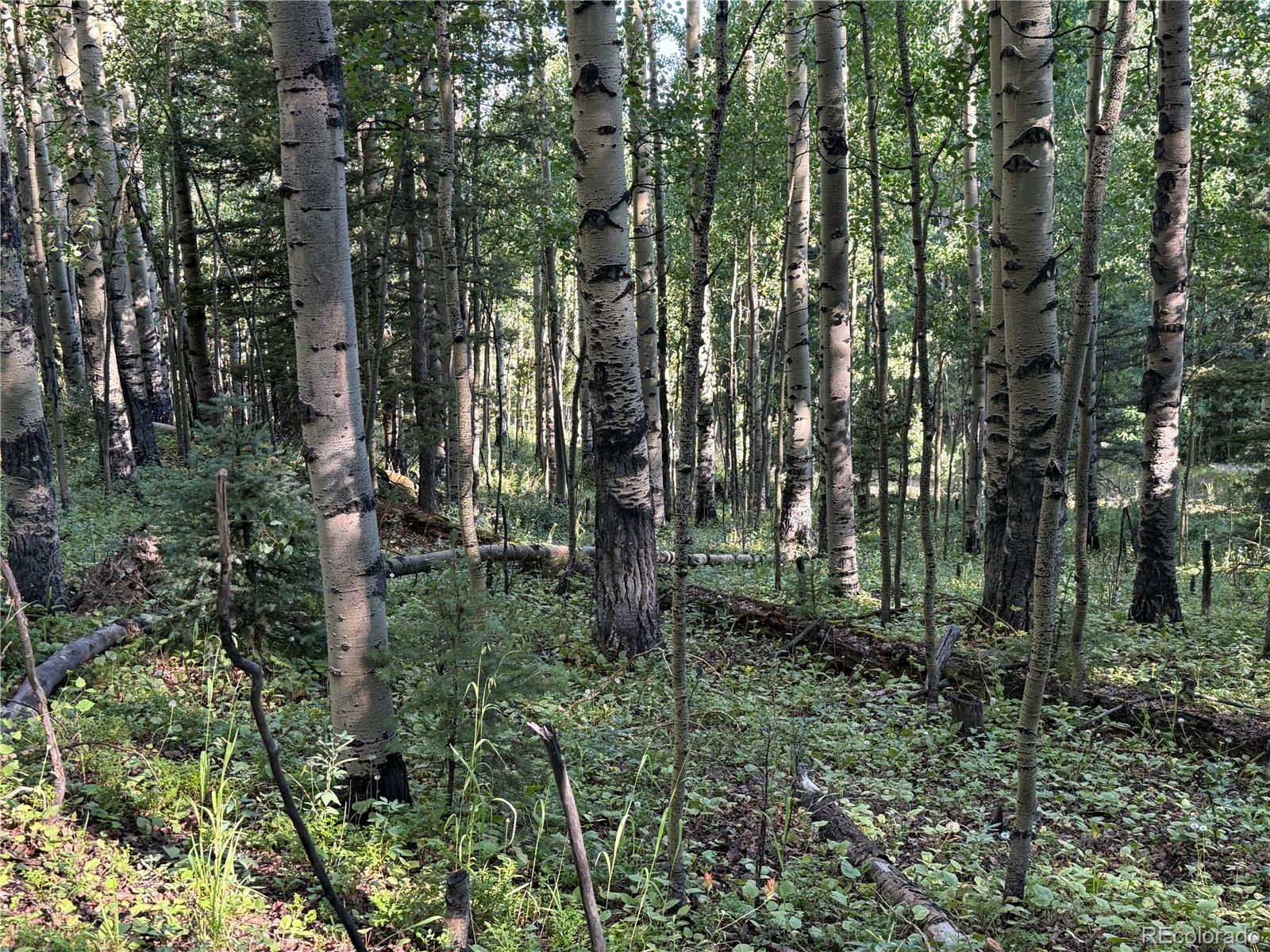 Lot 5331 Hull Road