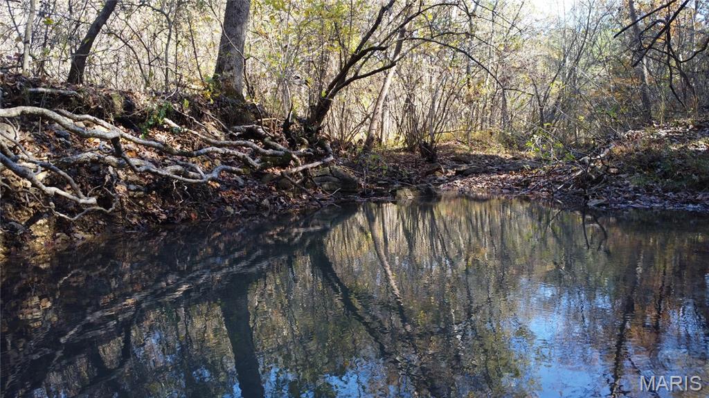 10256 Christina Trail