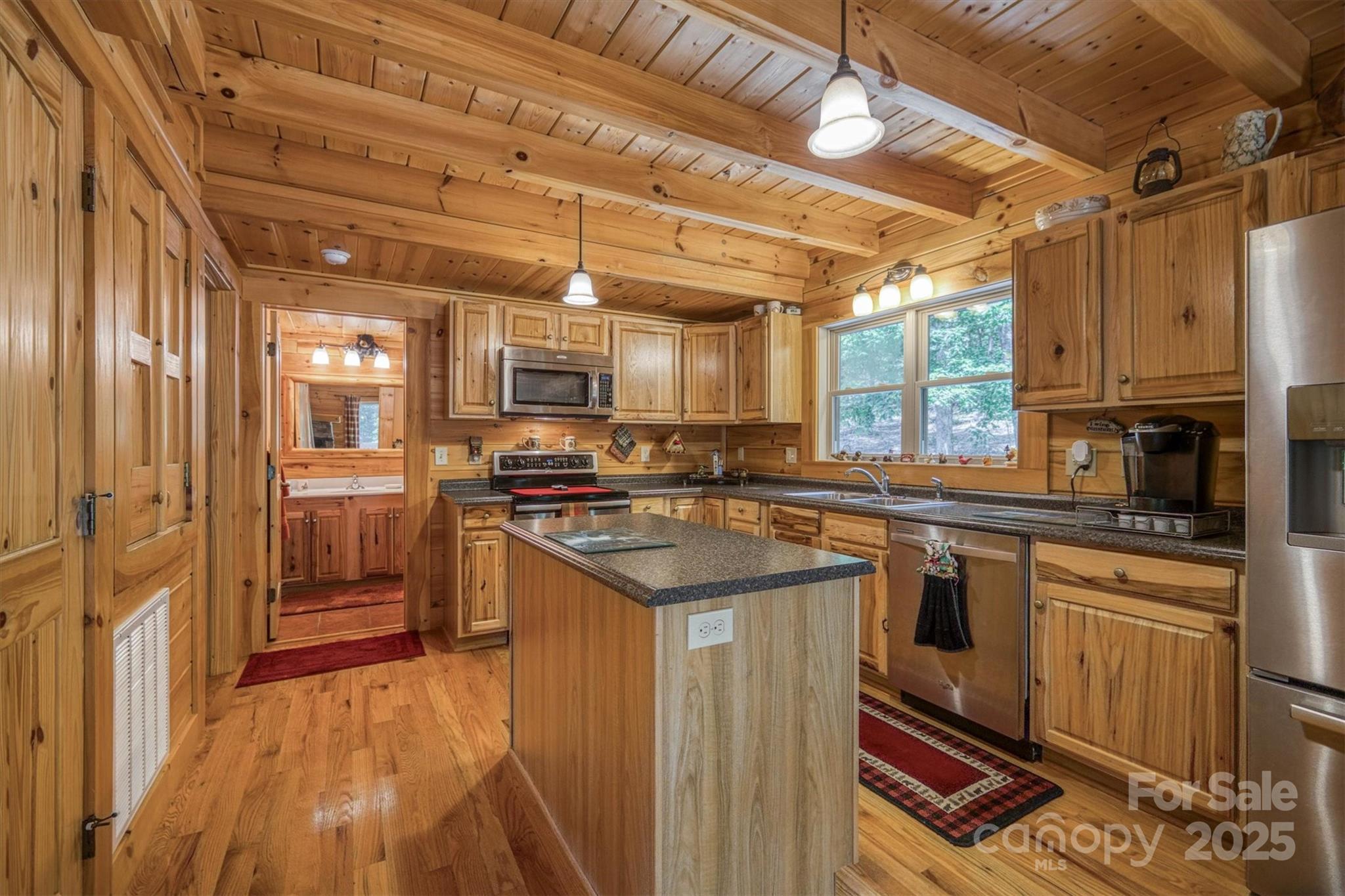 203 Mountain Vista Drive
