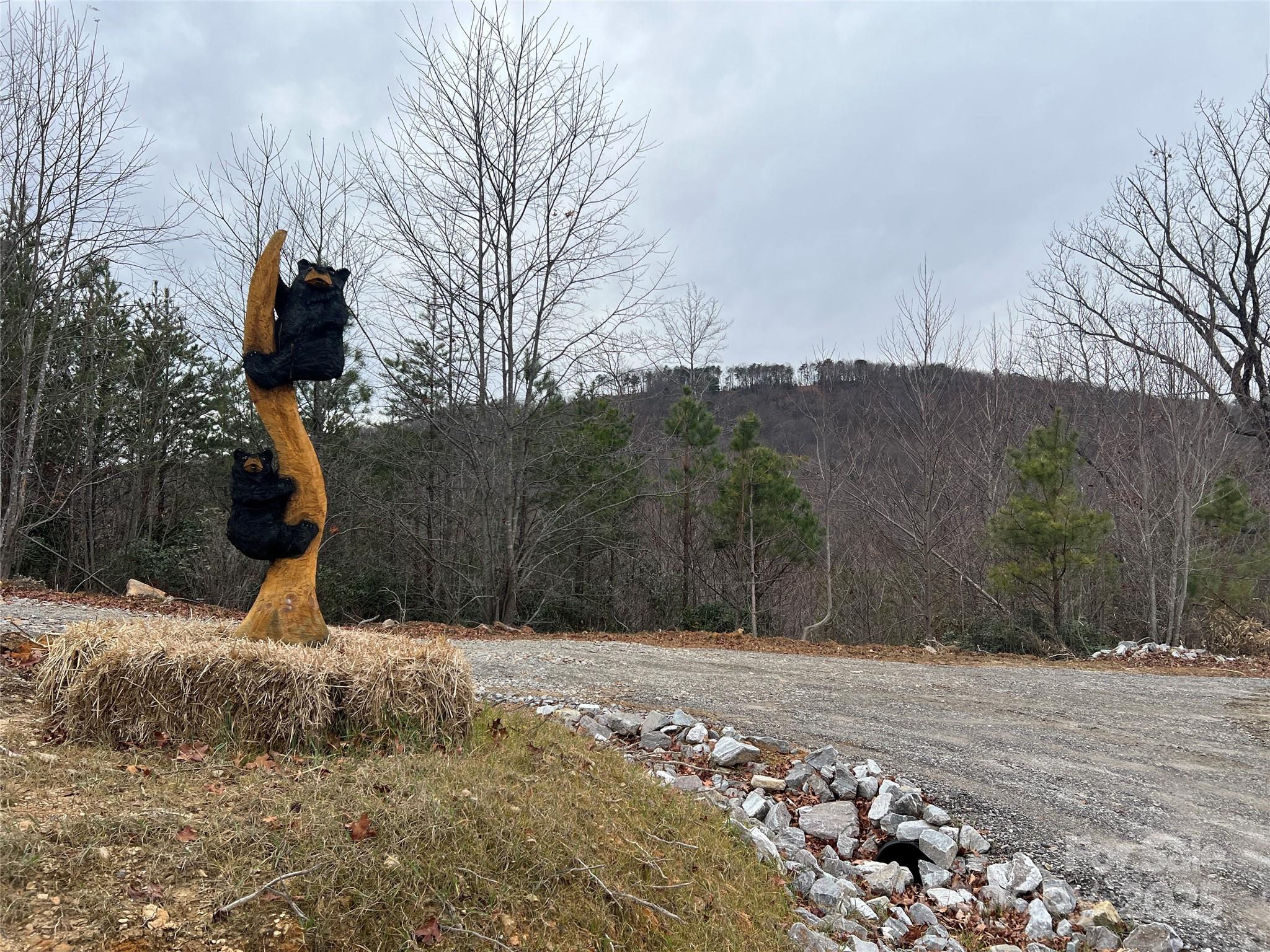 TR 14 Blackberry Ridge