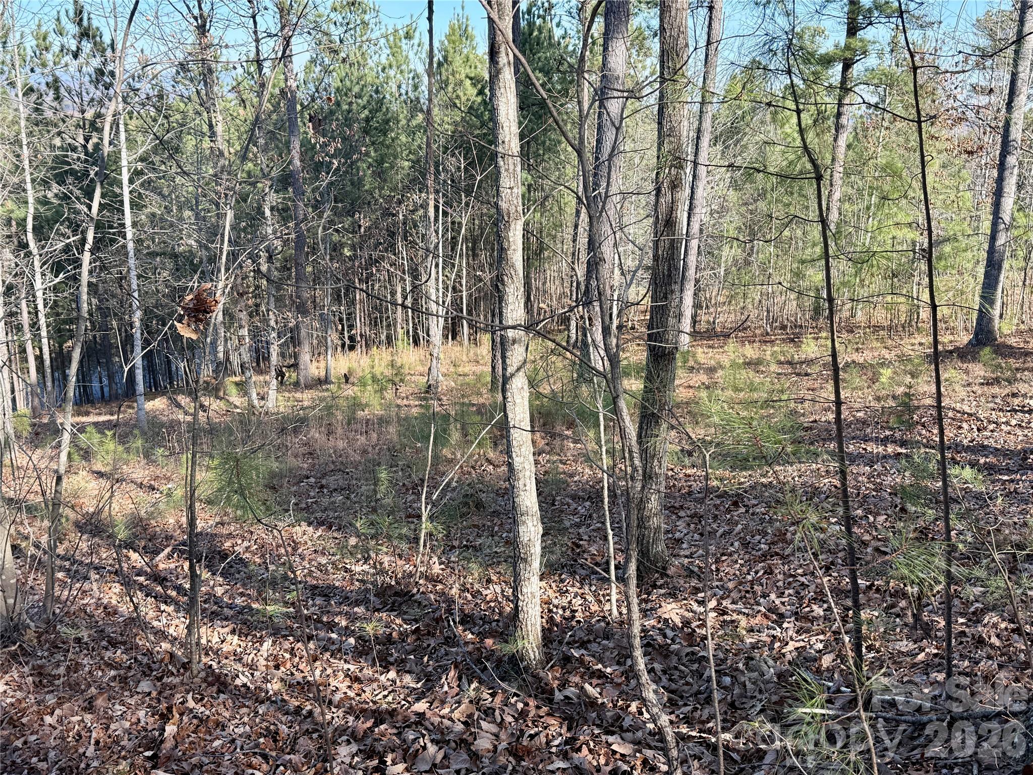 338 Grandview Peaks Drive 36