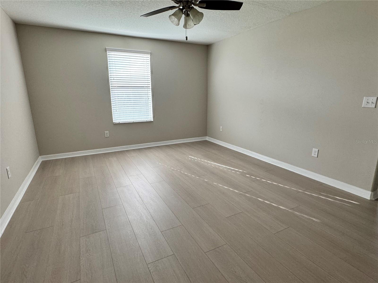 10013 Crested Fringe Drive