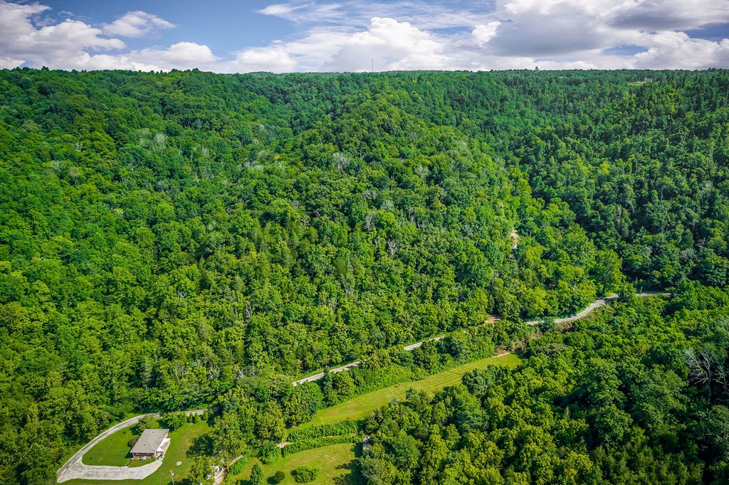 392 Possum Hollow Rd