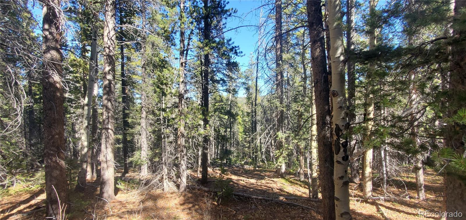 Lot 3023 & 3024 Bolwell Lane