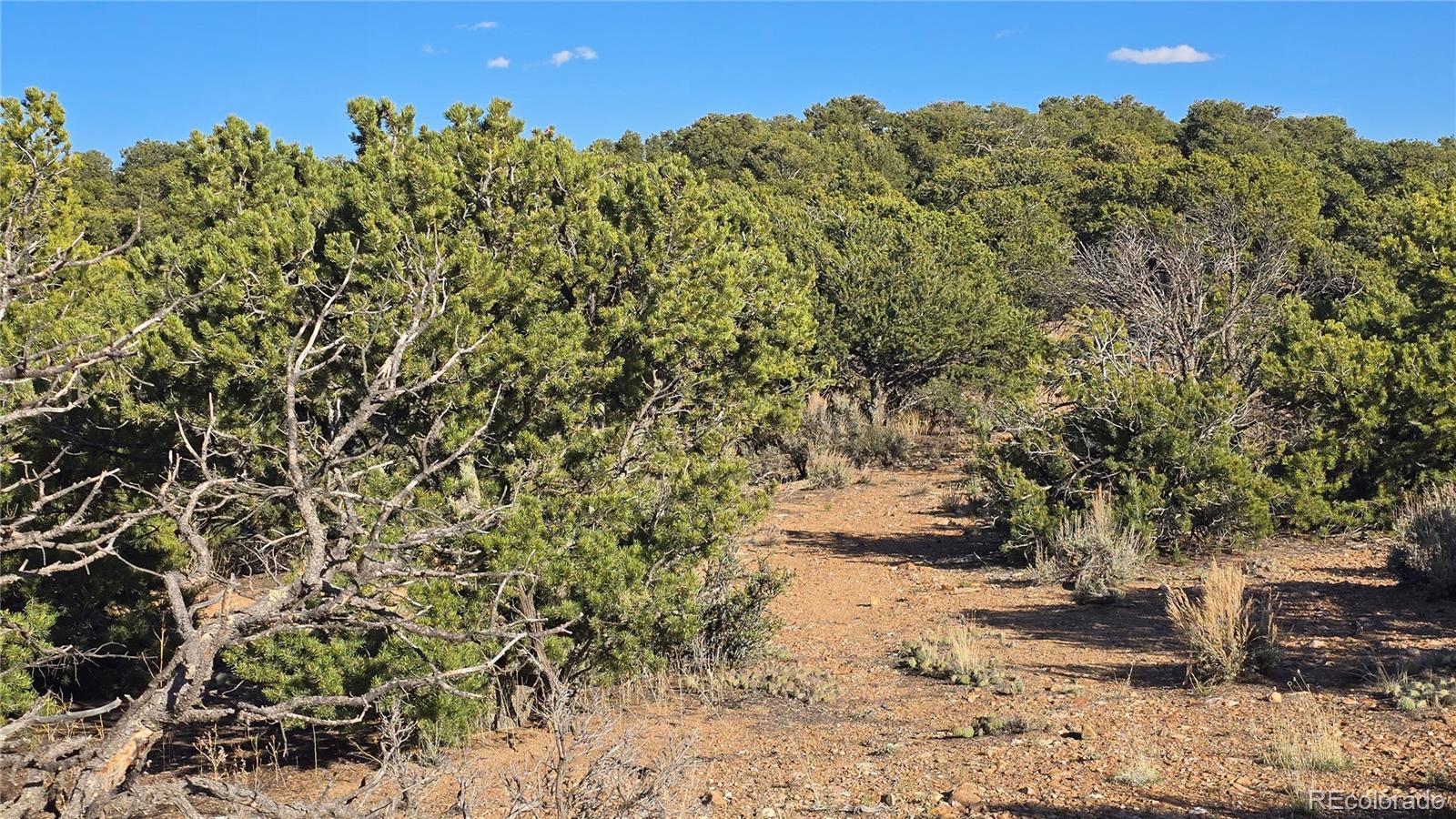 Lot 3886 & 3887 Galloway Road