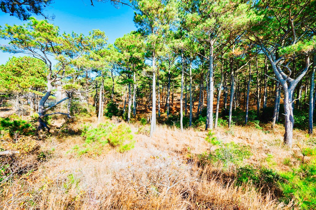 Lot # 2 Elliotts Creek Ln 2
