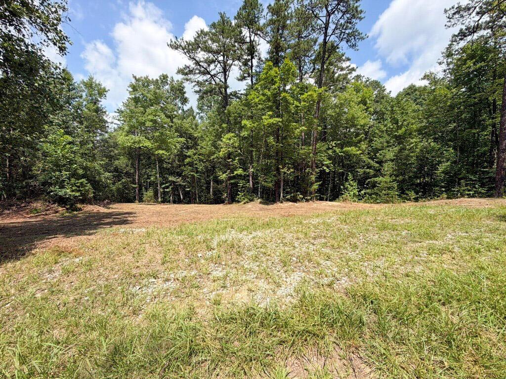 Bring your house plans to this beautiful mostly wooded lot on Barrett Mill Road in Wytheville. A cleared area reveals multiple potential home sites, while the surrounding trees provide excellent privacy. This lot, along with future development lots in the area, will include deed restrictions allowing modular or stick-built homes. Brand-new public water is available nearby, and the terrain is well suited for a gravity-flow septic system. Across the street, the Big Survey offers expansive public land with wildlife, trails, recreation, and hunting opportunities close at hand. Nearby natural destinations, including the New River, Reed Creek, and Mount Rogers, add to the area's appeal and are just a short drive away.