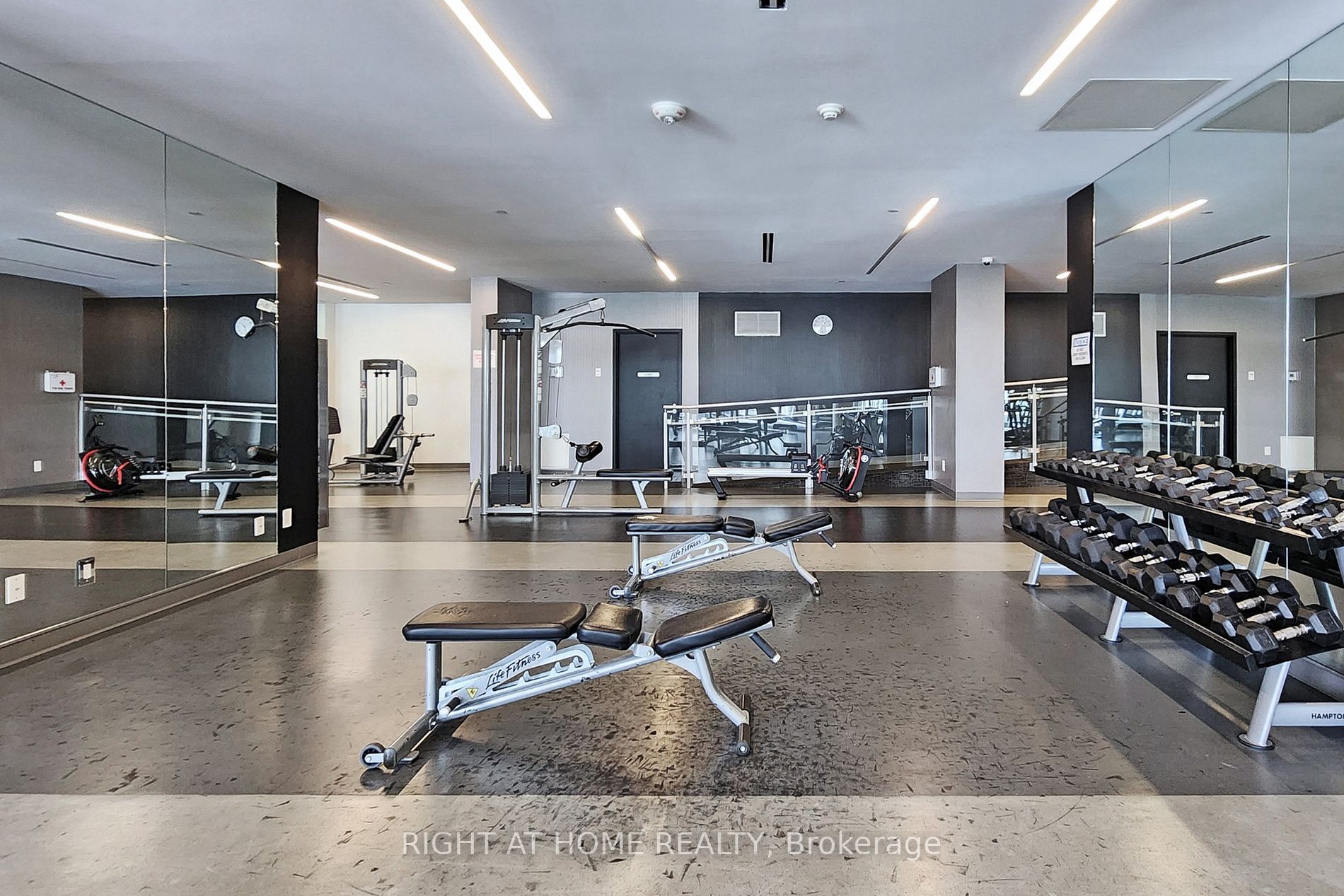 51 East Liberty St 1304