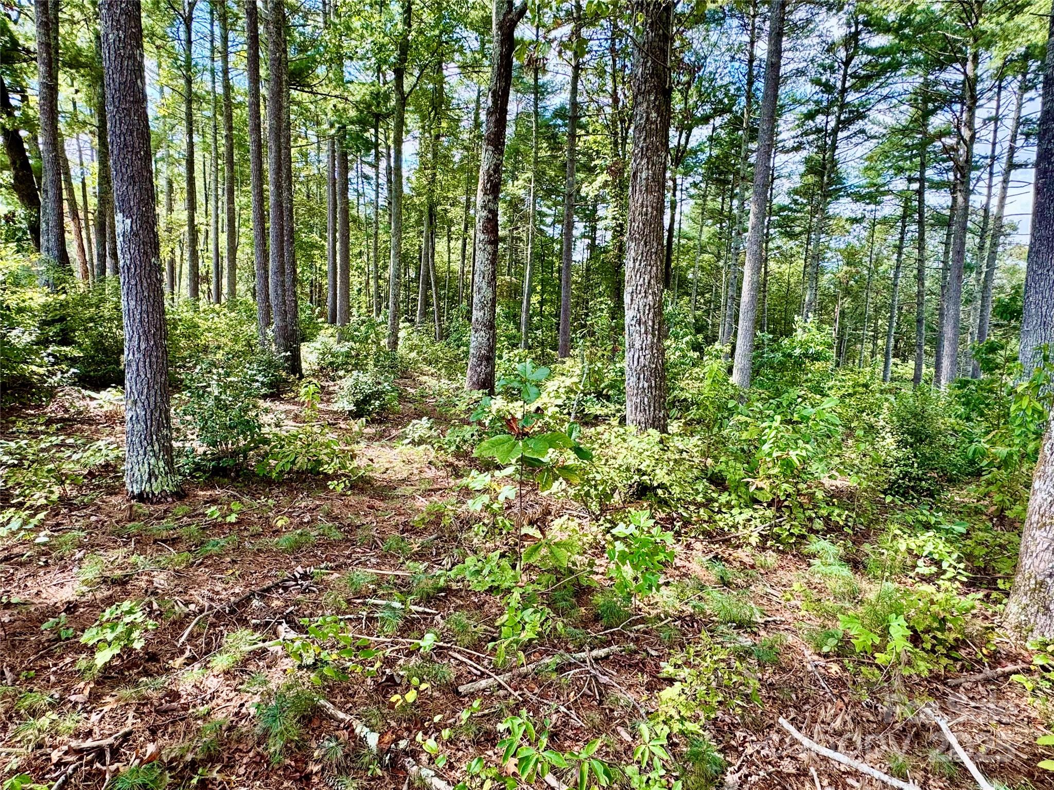 2088 Thoroughbred Way Lot G25