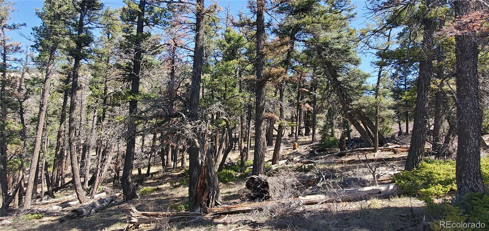 Lot 5802 Tagge Road