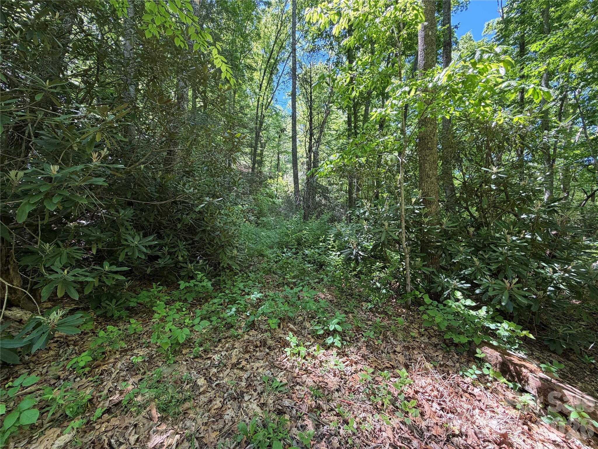 25 Buck Ridge Road