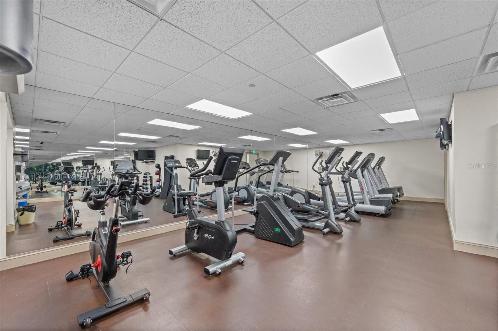 345 Bayshore Boulevard 706