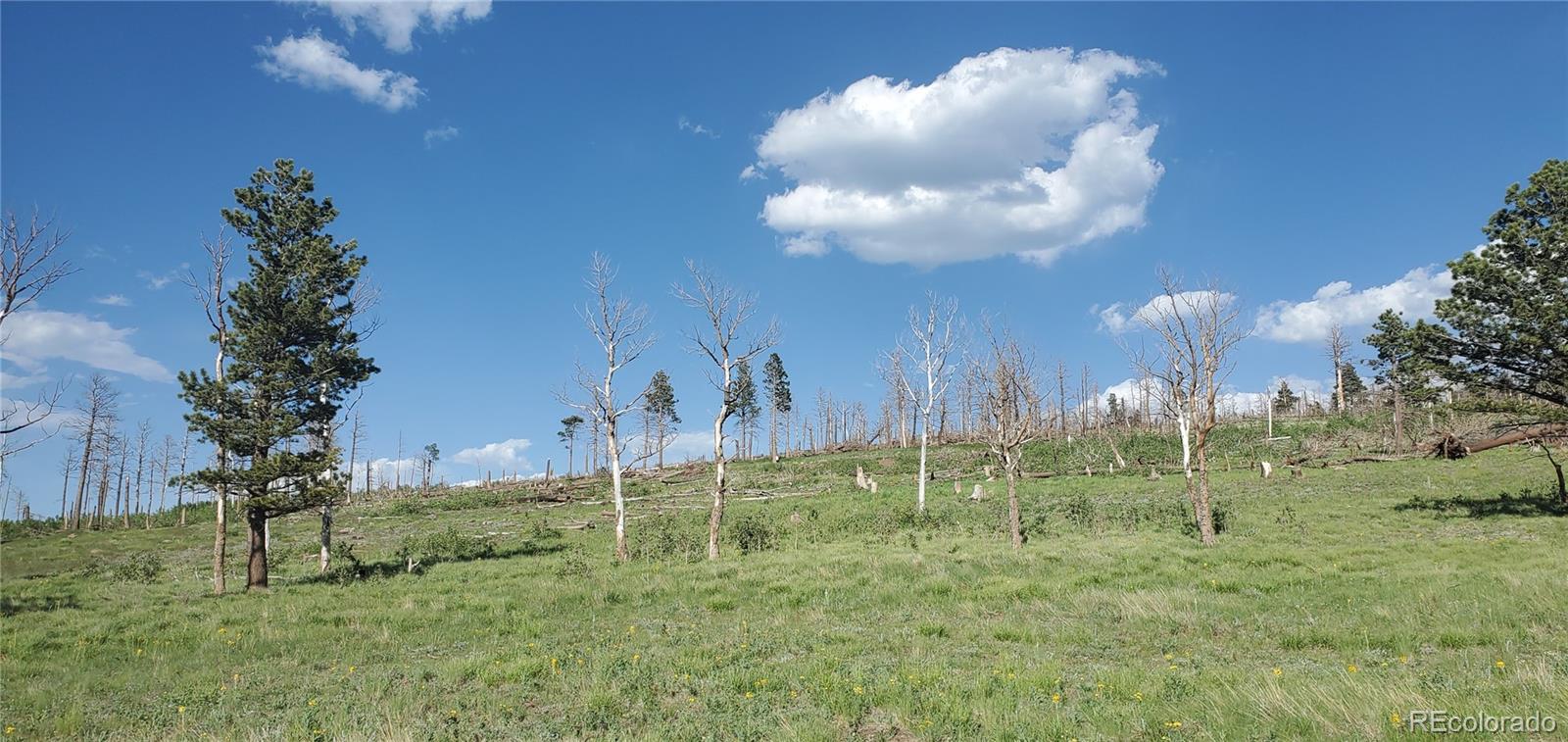 Lot 2120 Sigler Drive