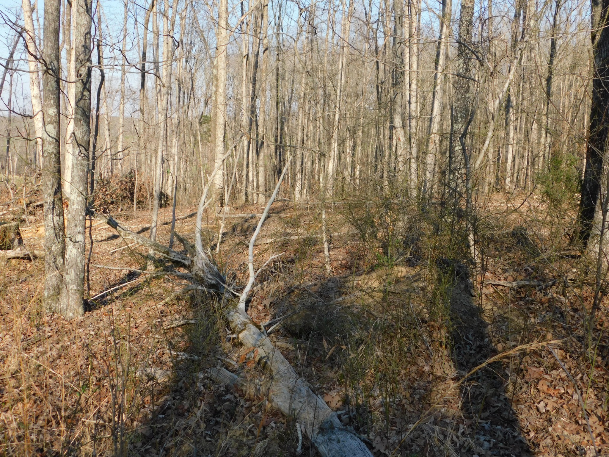 0 Lucas Ridge Road
