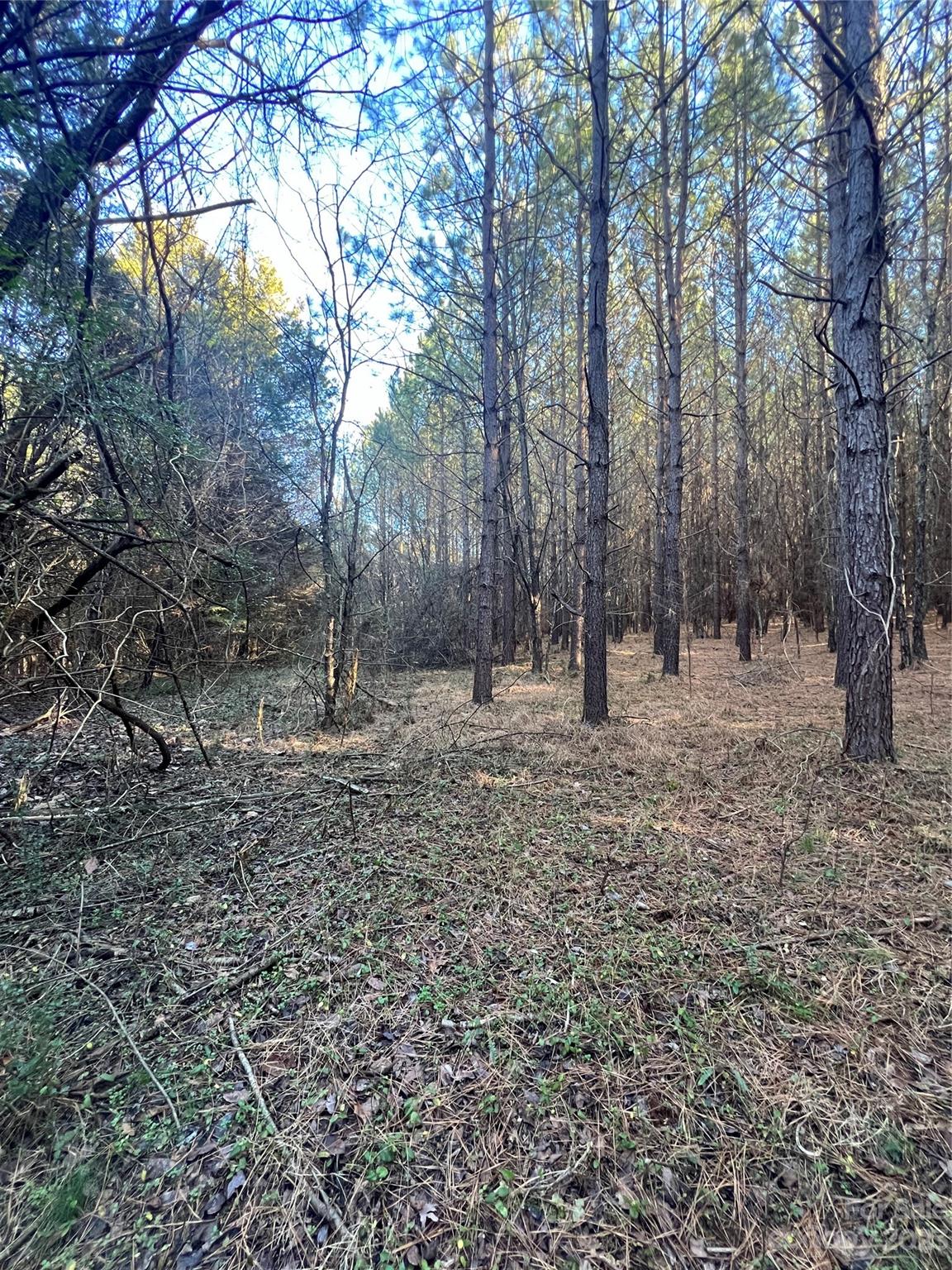 678 Turnersburg Highway