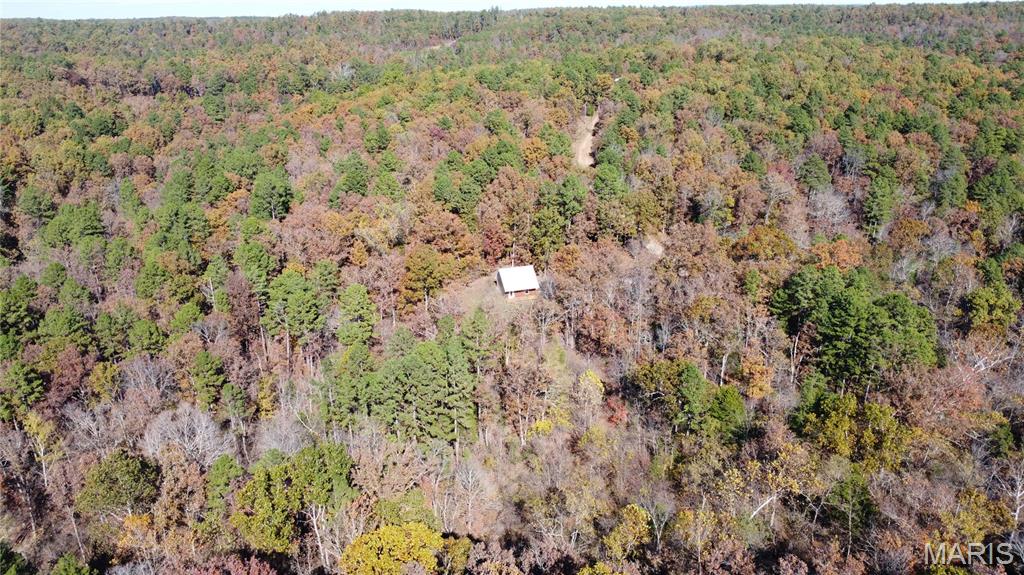 10256 Christina Trail