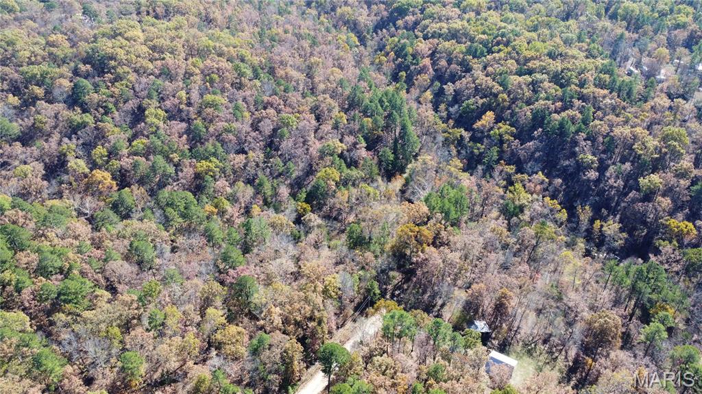 10256 Christina Trail