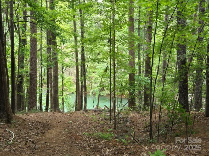 1590 Hawks Pointe Lane